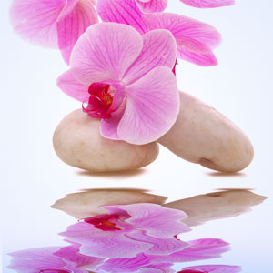 Orchid Rain Fragrance Oil