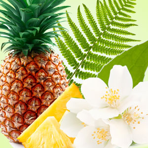 Pineapple Jasmine Fragrance Oil
