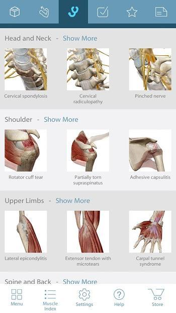 Muscle Premium – 3D Guide 6.1.31 APK
