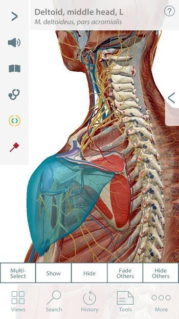 Muscle Premium – 3D Guide 6.1.31 APK