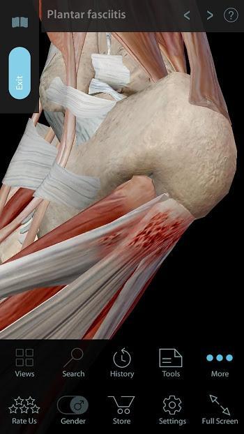 Muscle Premium – 3D Guide 6.1.31 APK