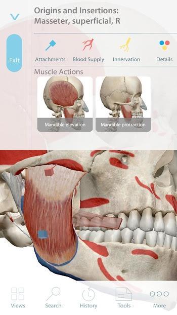 Muscle Premium – 3D Guide 6.1.31 APK