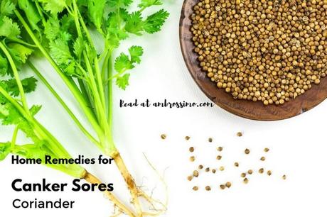 Coriander for Canker Sores