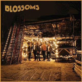 Track Of The Day: Blossoms - 'Texia'