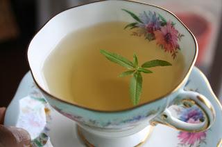Lemon Verbena and Mint Tea