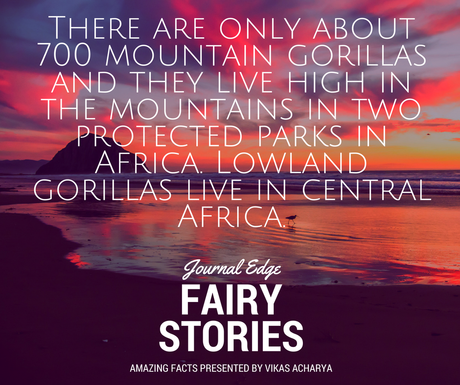 The word “Gorilla” comes from the history of Hanno the Navigator.