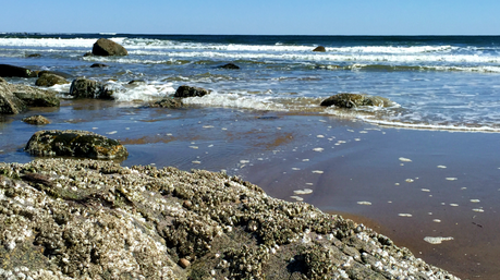 Water – Tiny Drops (Photography) Sandy Beach
