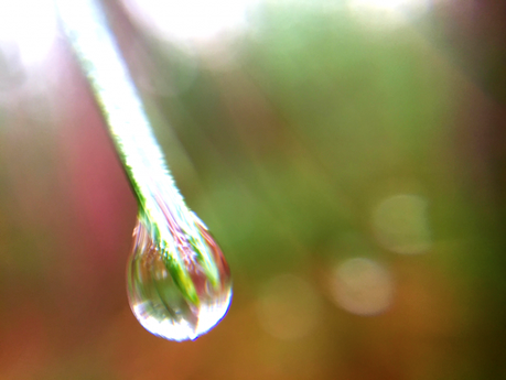Water – Tiny Drops (Photography) Droplet