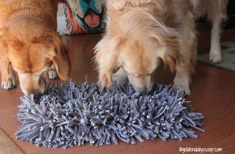 golden-retrievers-review-of-paw5-wooly-snuffle-mat