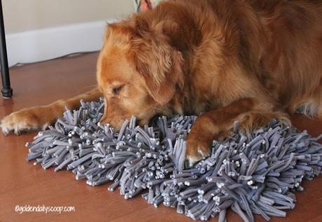 golden-retriever-dog-sniffing-out-kibble-on-paw5-wooly-snuffle-mat