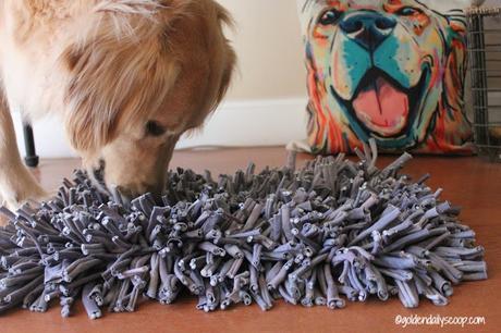 helping-dogs-use-their-nose-with-the-wooly-snuffle-mat