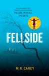 fellside