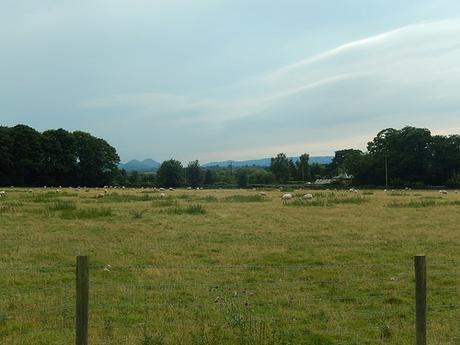 Wroxeter Roman City