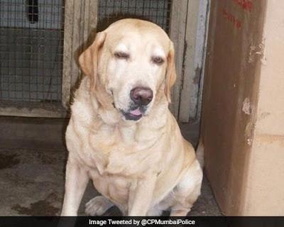 Caesar, one of the heroes of 26/11 passes away !!