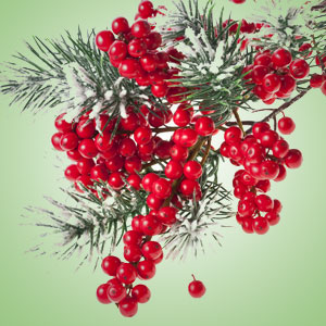 Pepperberry Wreath Fragrance Oil