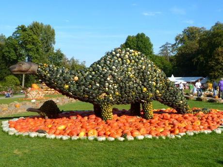 5 Reasons to Visit the World’s Largest Pumpkin Festival in Germany