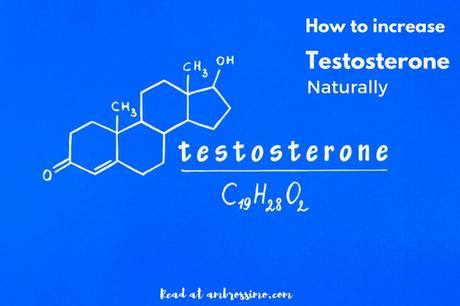 testosterone