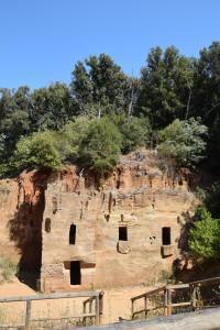 Alla scoperta della Necropoli delle grotte. Discovering the necropolis oif caves, Populonia
