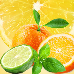 Cool Citrus and Basil Type Fragrance Oil