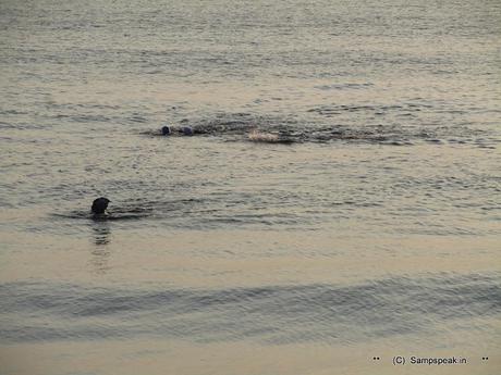 the lure of Bay of Bengal at Marina ~ dangerous swimming in the Sea