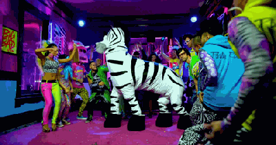 85042-zebra-dancing-gif-imgur-bvf2