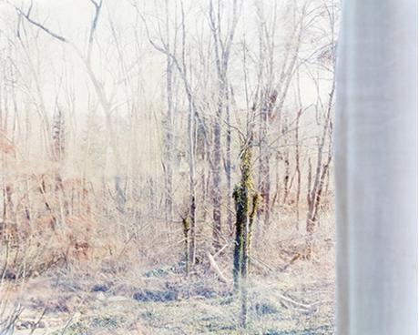 Linda Pagani's Ethereal Landscape Photo At Webster & Co