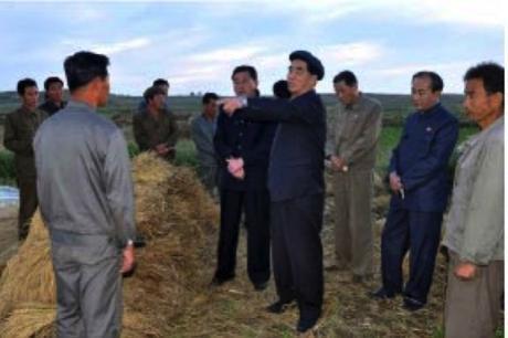 DPRK Premier Pak Pong Ju issues instruction during a visit to a cooperative farm in South Hwanghae Province (Photo: Rodong Sinmun).