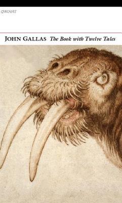 The Book with Twelve Tales by John Gallas REVIEW