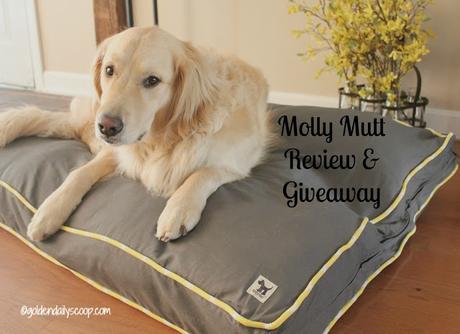 molly mutt duvet cover for dog beds review and giveaway