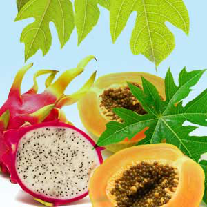 Papaya Dragon Fruit Fragrance Oil