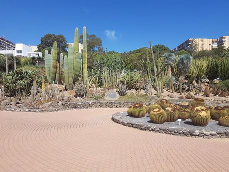 A FEW HOLIDAY SNAPS