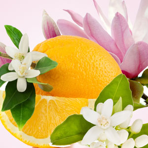 NG Magnolia Orange Blossom Type Fragrance Oil