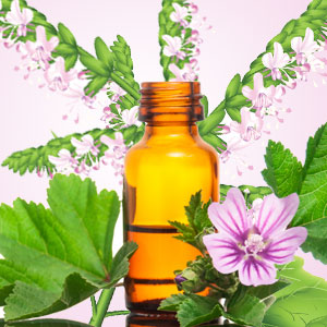 Patchouli Fragrance Oil