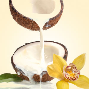 NG Coconut Vanilla Type Fragrance Oil