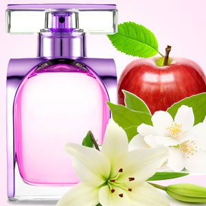 NG CanCan Type Fragrance Oil