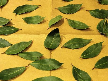 How to preserve bay leaves the easy way!