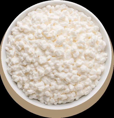 Cottage Cheese
