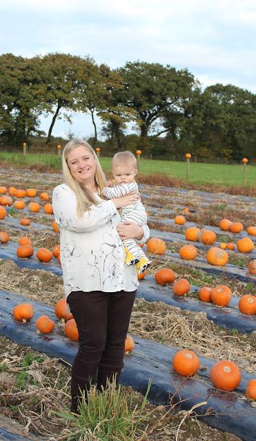 Pumpkins, Pumpkins Everywhere! - Pumpkin Picking In Devon