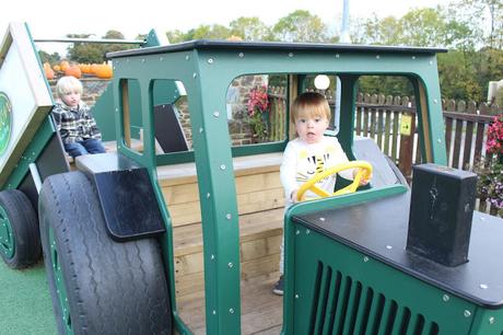 Pumpkins, Pumpkins Everywhere! - Pumpkin Picking In Devon