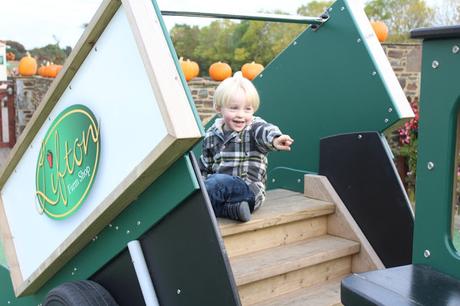 Pumpkins, Pumpkins Everywhere! - Pumpkin Picking In Devon