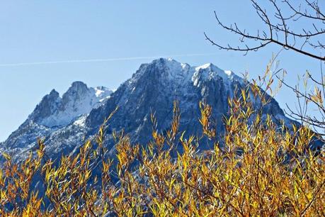 golden fall leaves and snowy mountain peaks