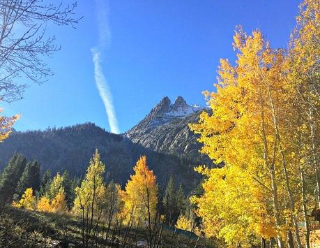 fall foliage in the eastern Sierras