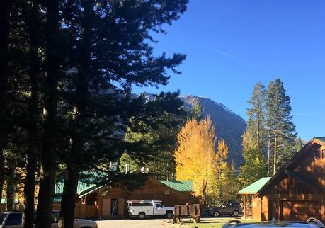 cabin patio view