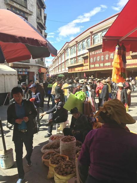 Visiting Lhasa | Mint Mocha Musings