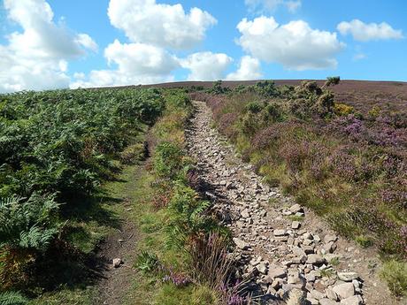 Horner to Dunkery Beacon – Exmoor