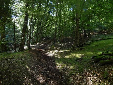 Horner to Dunkery Beacon – Exmoor