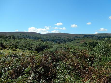 Horner to Dunkery Beacon – Exmoor