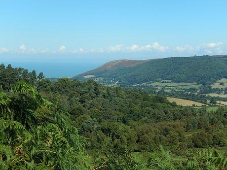 Horner to Dunkery Beacon – Exmoor