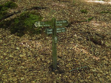 Horner to Dunkery Beacon – Exmoor