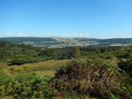 Horner to Dunkery Beacon – Exmoor